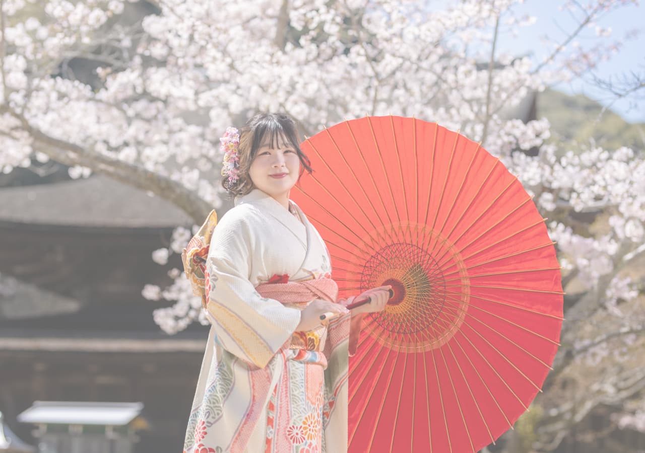 成人式桜と和傘をさした女性